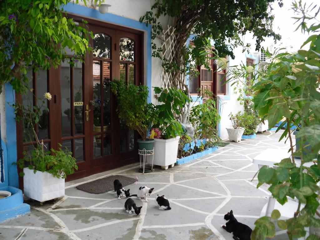 Mertonas Studios Karpathos Exterior foto